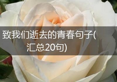 致我们逝去的青春句子(汇总20句)