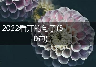 2022看开的句子(50句)