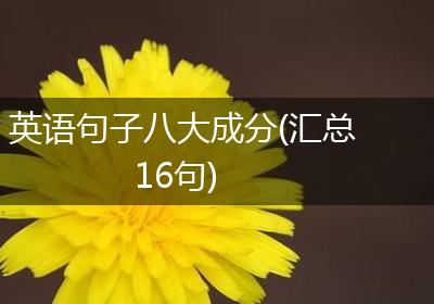 英语句子八大成分(汇总16句)