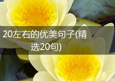 20左右的优美句子(精选20句)