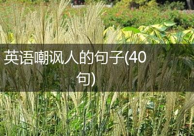 英语嘲讽人的句子(40句)