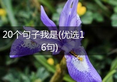 20个句子我是(优选16句)