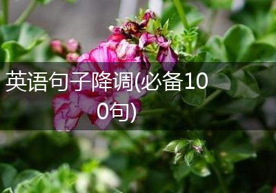 英语句子降调(必备100句)