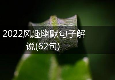 2022风趣幽默句子解说(62句)