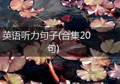 英语听力句子(合集20句)