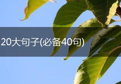 20大句子(必备40句)