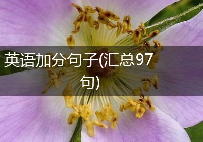 英语加分句子(汇总97句)