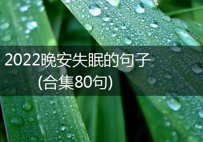 2022晚安失眠的句子(合集80句)