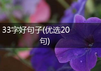 33字好句子(优选20句)