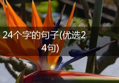 24个字的句子(优选24句)
