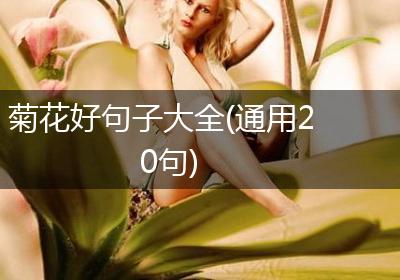 菊花好句子大全(通用20句)