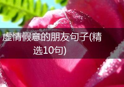 虚情假意的朋友句子(精选10句)