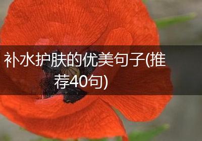 补水护肤的优美句子(推荐40句)