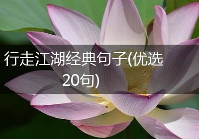 行走江湖经典句子(优选20句)