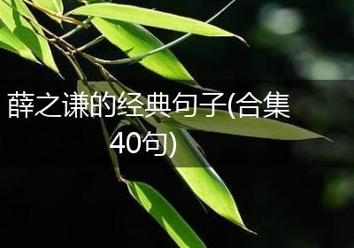薛之谦的经典句子(合集40句)