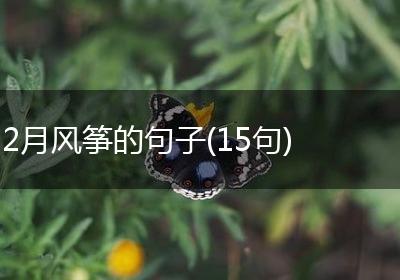 2月风筝的句子(15句)