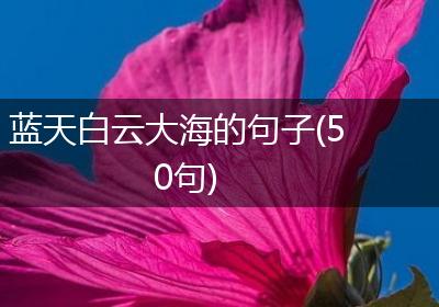 蓝天白云大海的句子(50句)