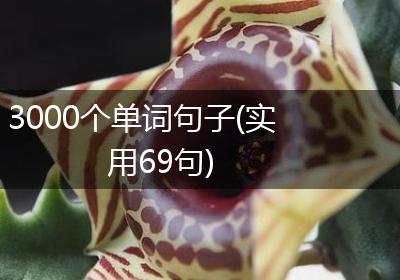 3000个单词句子(实用69句)