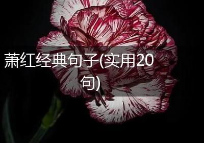 萧红经典句子(实用20句)