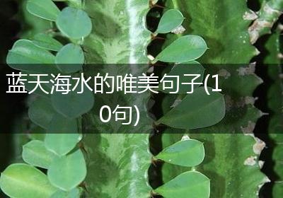 蓝天海水的唯美句子(10句)