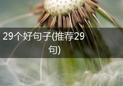 29个好句子(推荐29句)