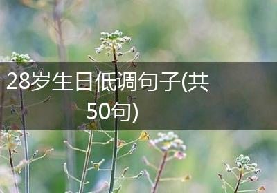 28岁生日低调句子(共50句)