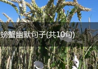 螃蟹幽默句子(共10句)