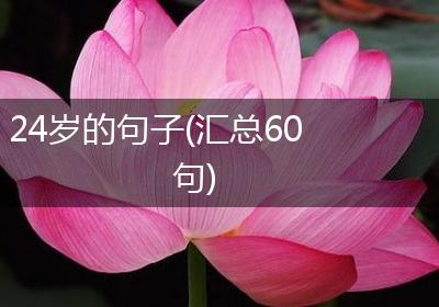 24岁的句子(汇总60句)