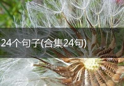 24个句子(合集24句)