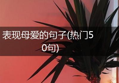 表现母爱的句子(热门50句)