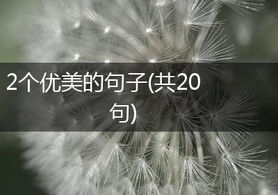 2个优美的句子(共20句)