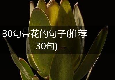 30句带花的句子(推荐30句)