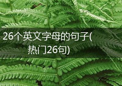 26个英文字母的句子(热门26句)
