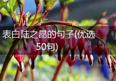 表白陆之昂的句子(优选50句)