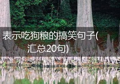 表示吃狗粮的搞笑句子(汇总20句)