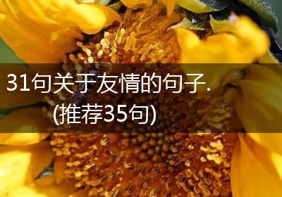 31句关于友情的句子.(推荐35句)
