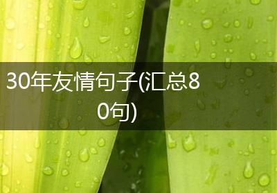 30年友情句子(汇总80句)