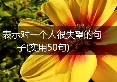 表示对一个人很失望的句子(实用50句)