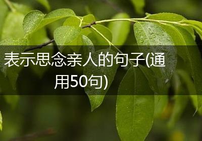 表示思念亲人的句子(通用50句)