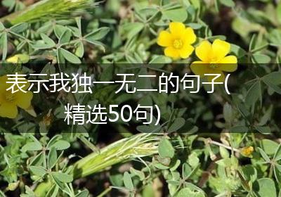 表示我独一无二的句子(精选50句)