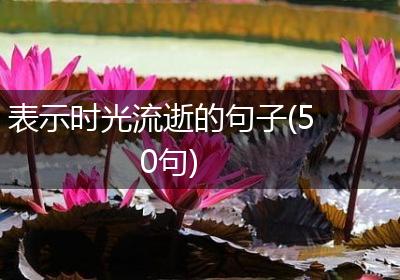 表示时光流逝的句子(50句)