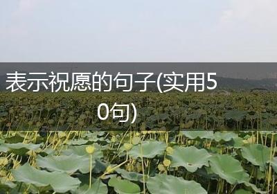 表示祝愿的句子(实用50句)