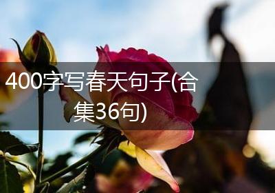 400字写春天句子(合集36句)