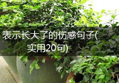 表示长大了的伤感句子(实用20句)