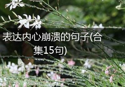 表达内心崩溃的句子(合集15句)