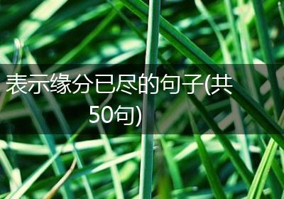 表示缘分已尽的句子(共50句)