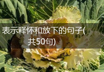 表示释怀和放下的句子(共50句)