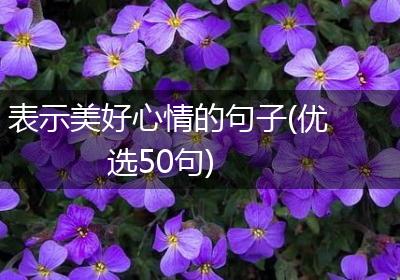 表示美好心情的句子(优选50句)