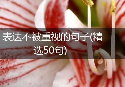 表达不被重视的句子(精选50句)