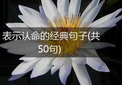 表示认命的经典句子(共50句)